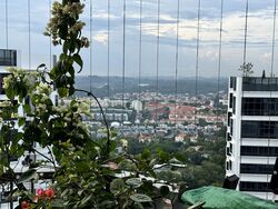 D'Leedon (D10), Condominium #556650701